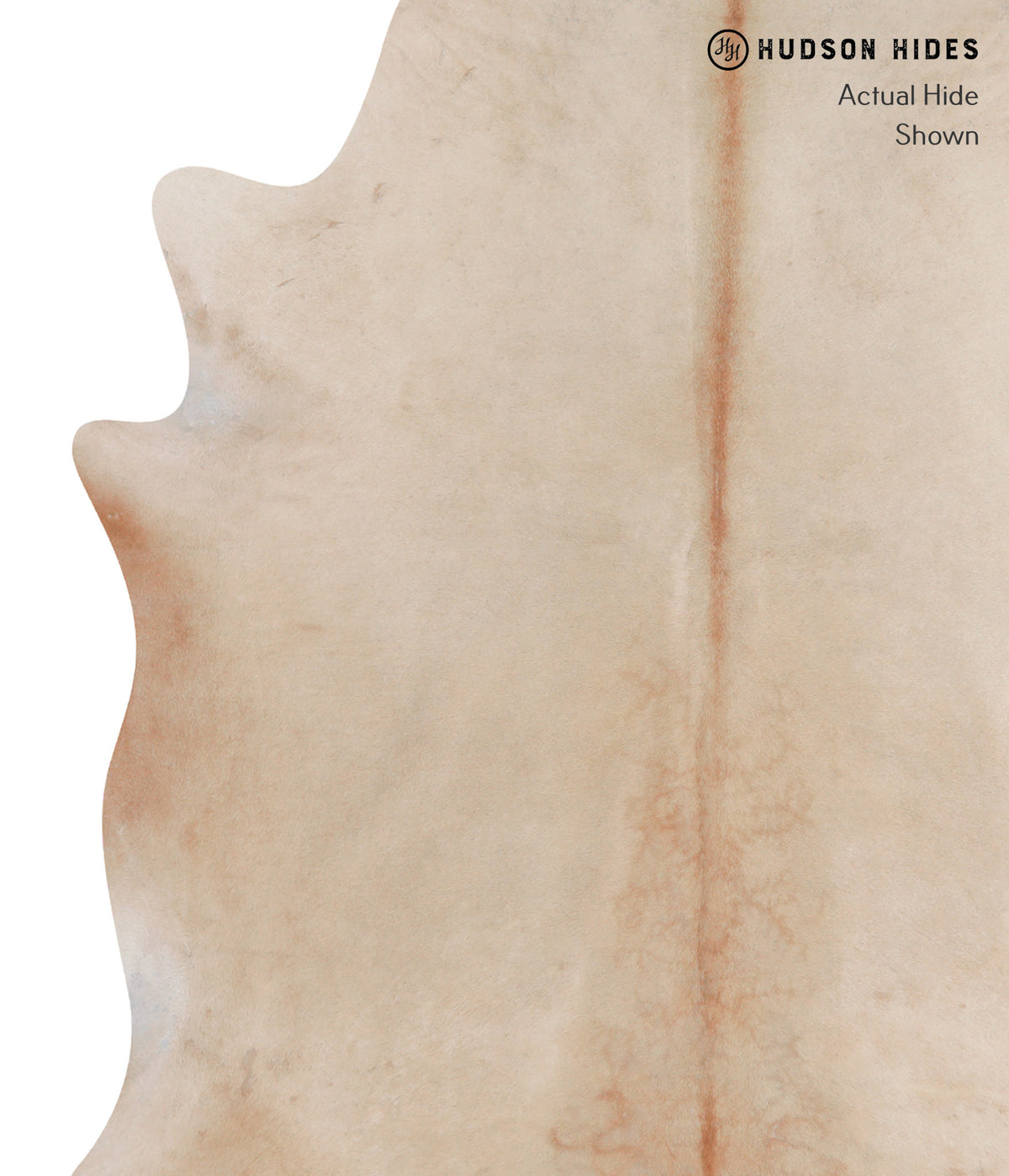 Beige XX-Large Brazilian Cowhide Rug 7'7"H x 6'8"W #A3884 by Hudson Hides
