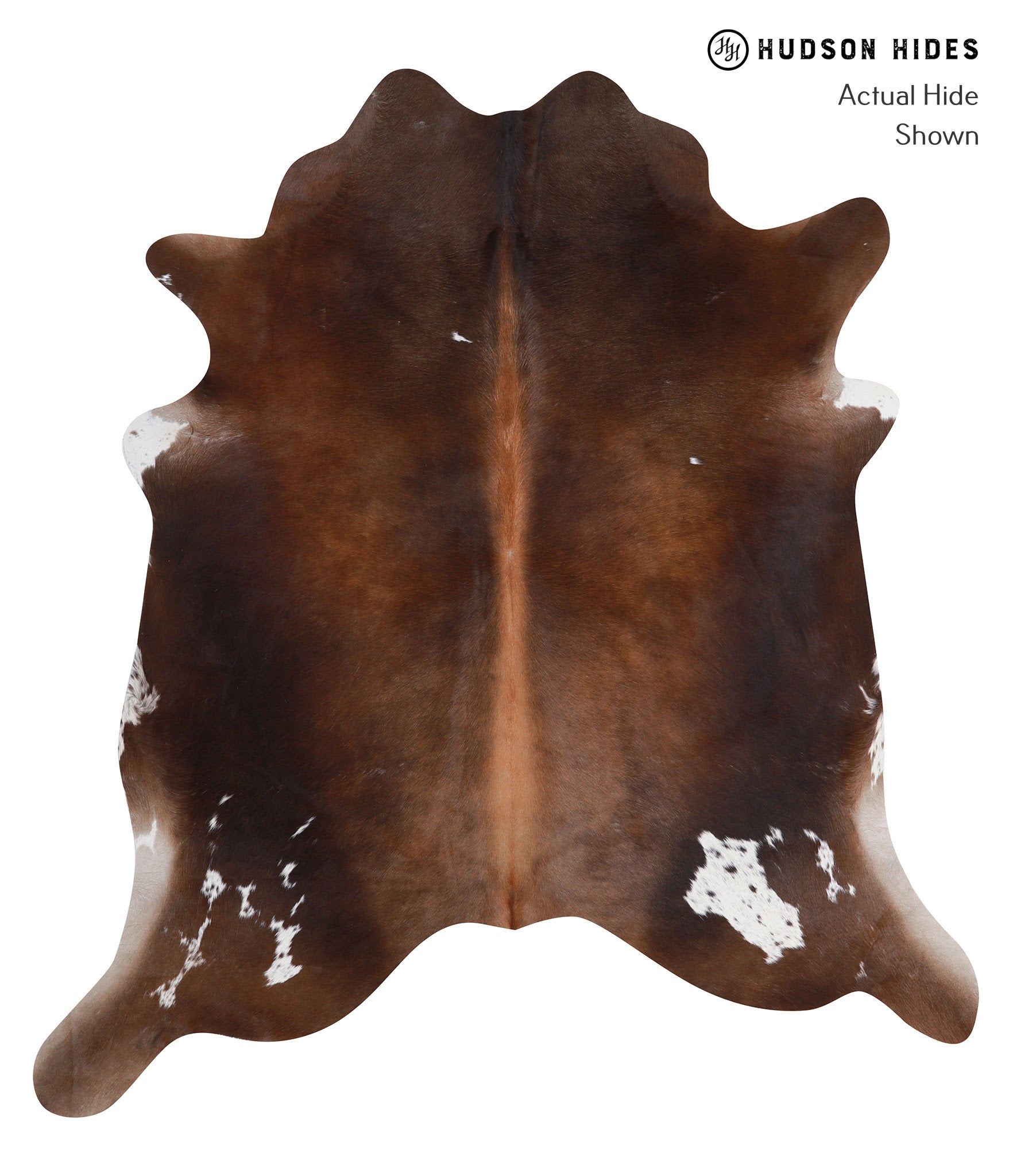 Chocolate and White Cowhide Rug #A3900