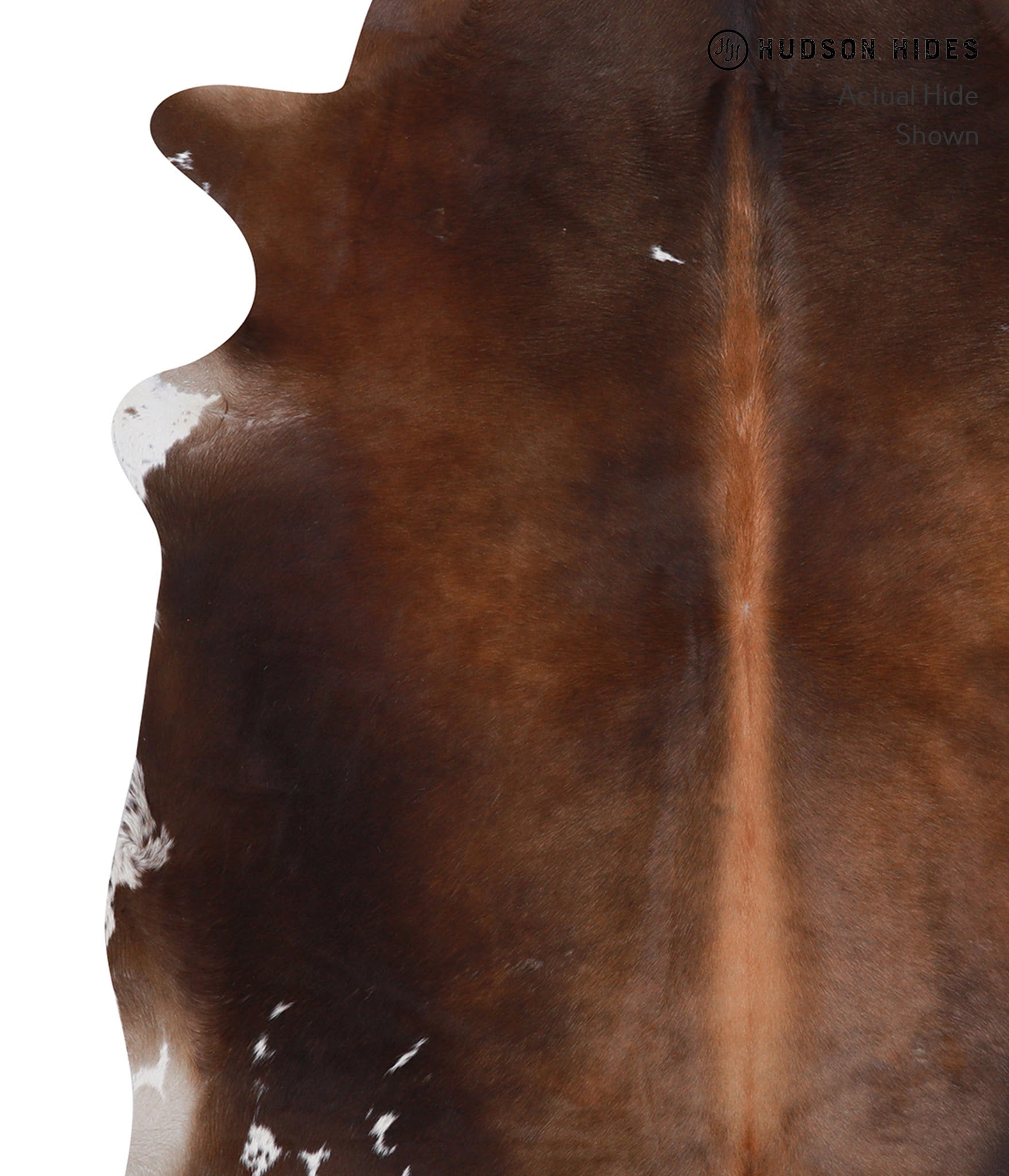 Chocolate and White Cowhide Rug #A3900