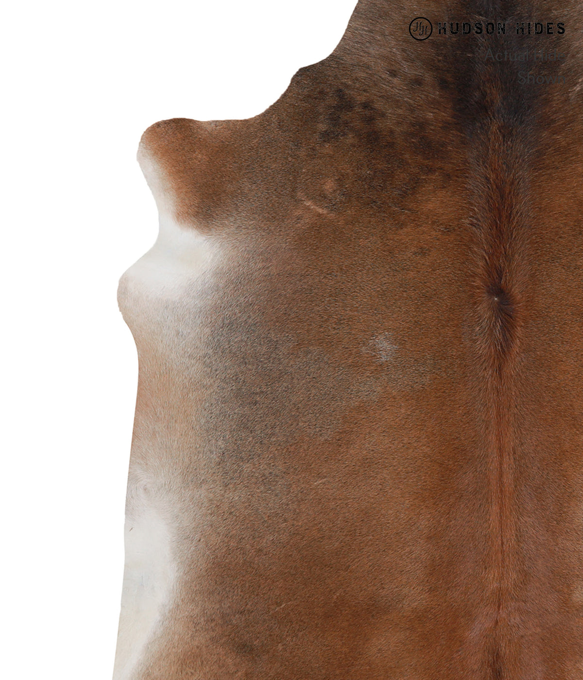 Grey with Beige X-Large Brazilian Cowhide Rug 6'6"H x 6'10"W #A3939 by Hudson Hides