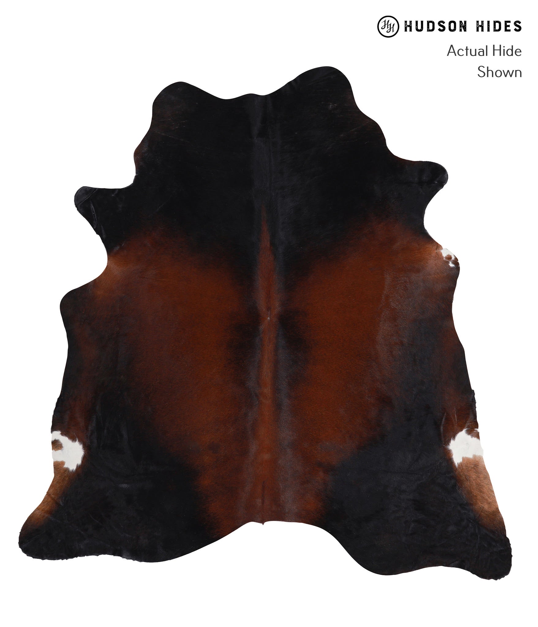 Brown with Red Cowhide Rug #A3949