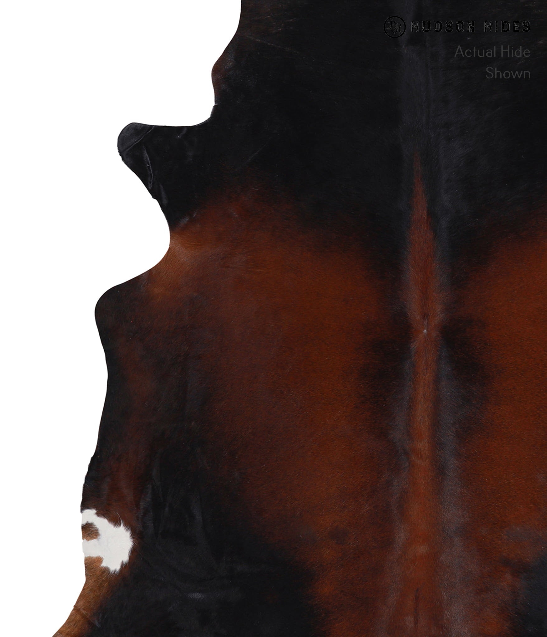 Brown with Red Cowhide Rug #A3949