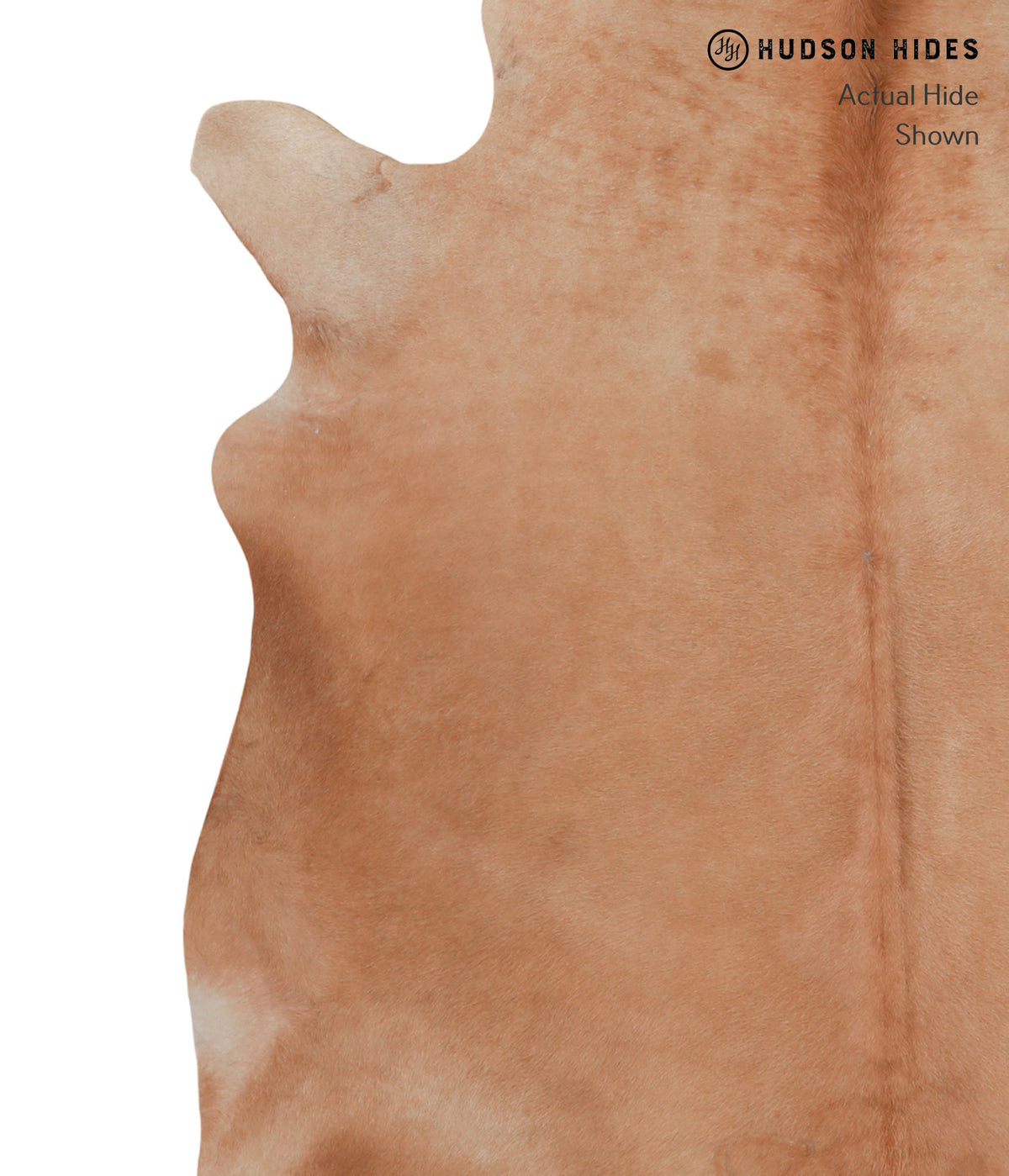 Solid Brown X-Large Brazilian Cowhide Rug 6'9"H x 6'11"W #A3967 by Hudson Hides