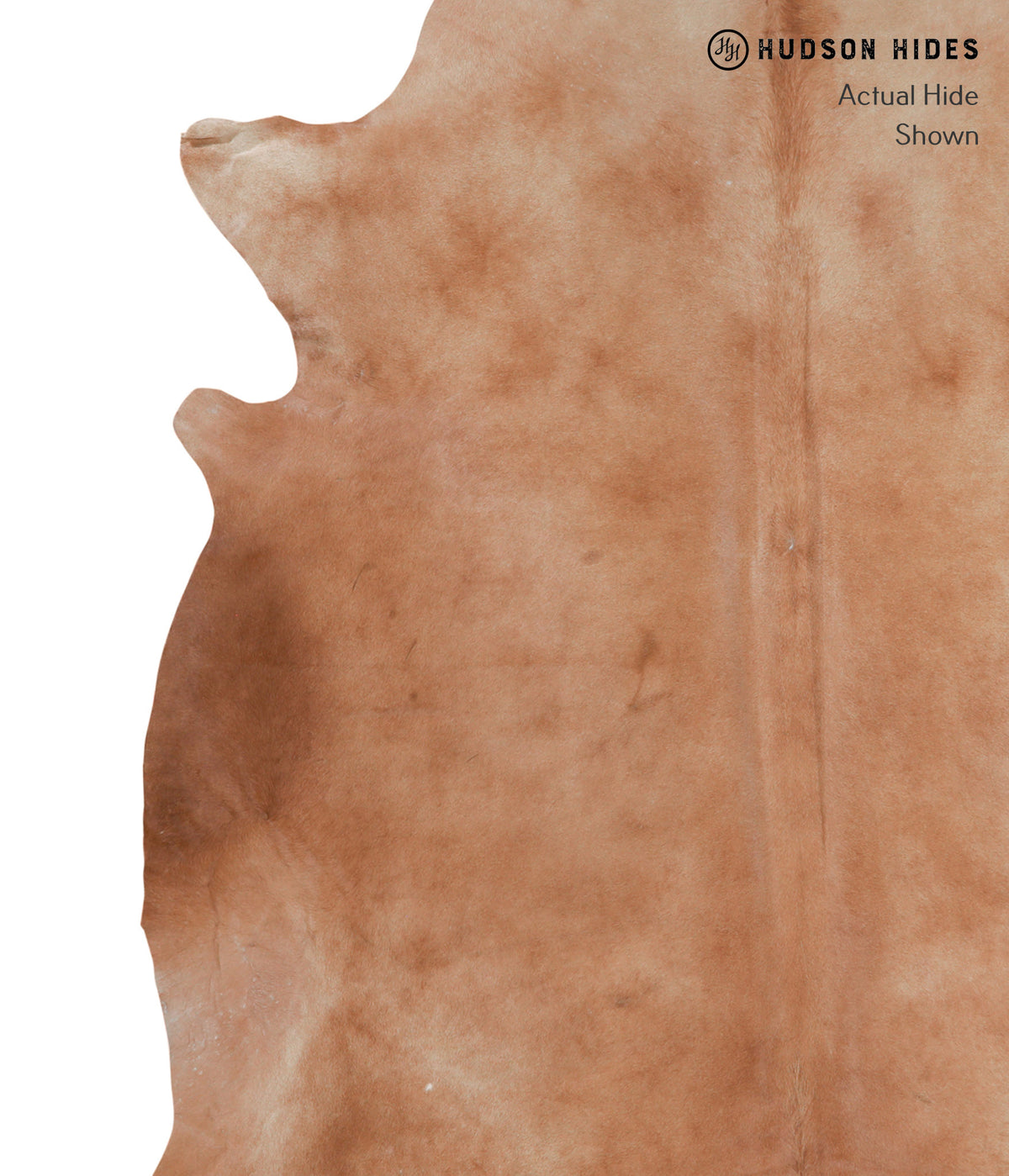 Solid Brown XX-Large Brazilian Cowhide Rug 8'0"H x 6'10"W #A3979 by Hudson Hides