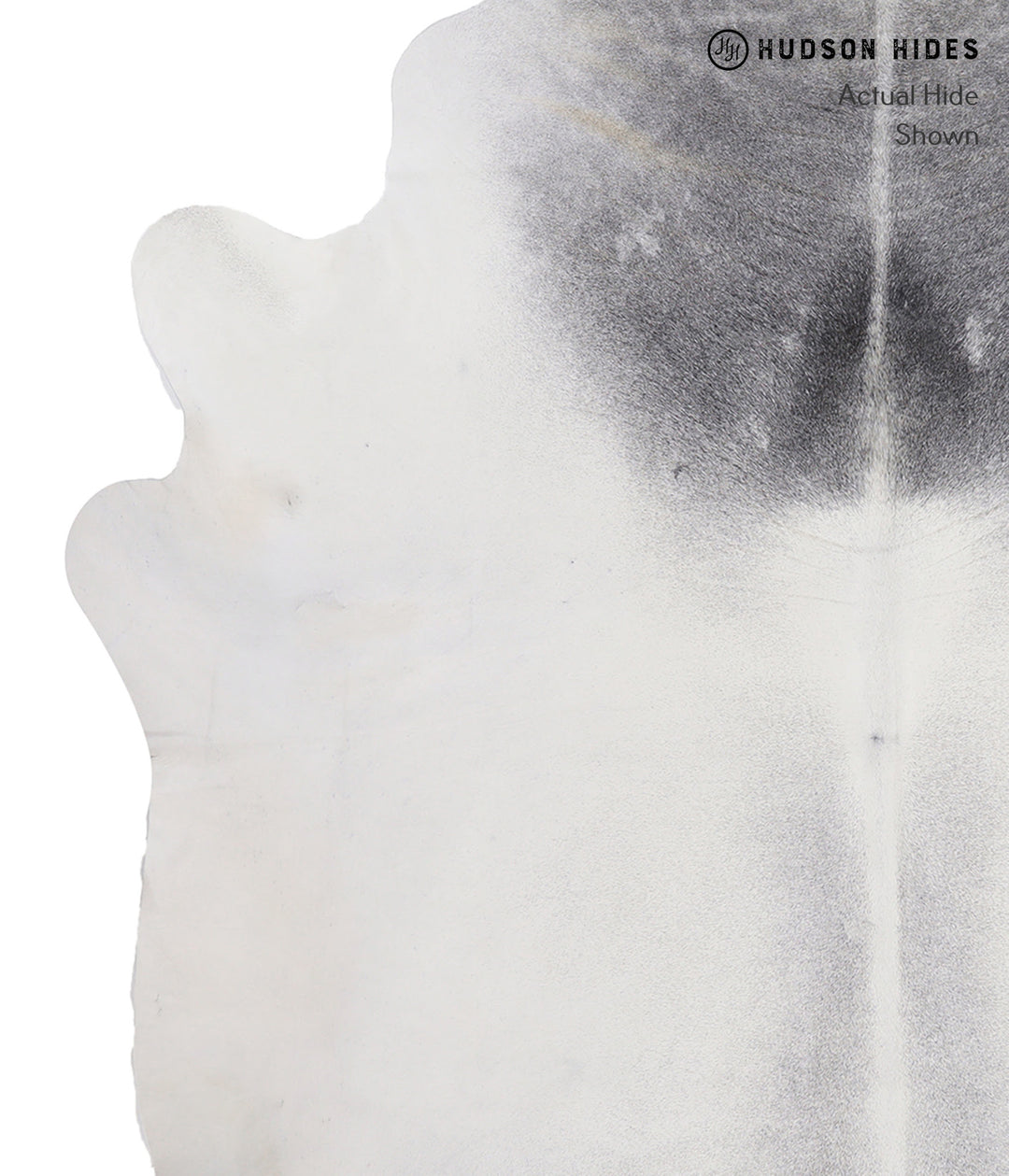 Medium Grey XX-Large Brazilian Cowhide Rug 7'11"H x 7'8"W #A4023 by Hu