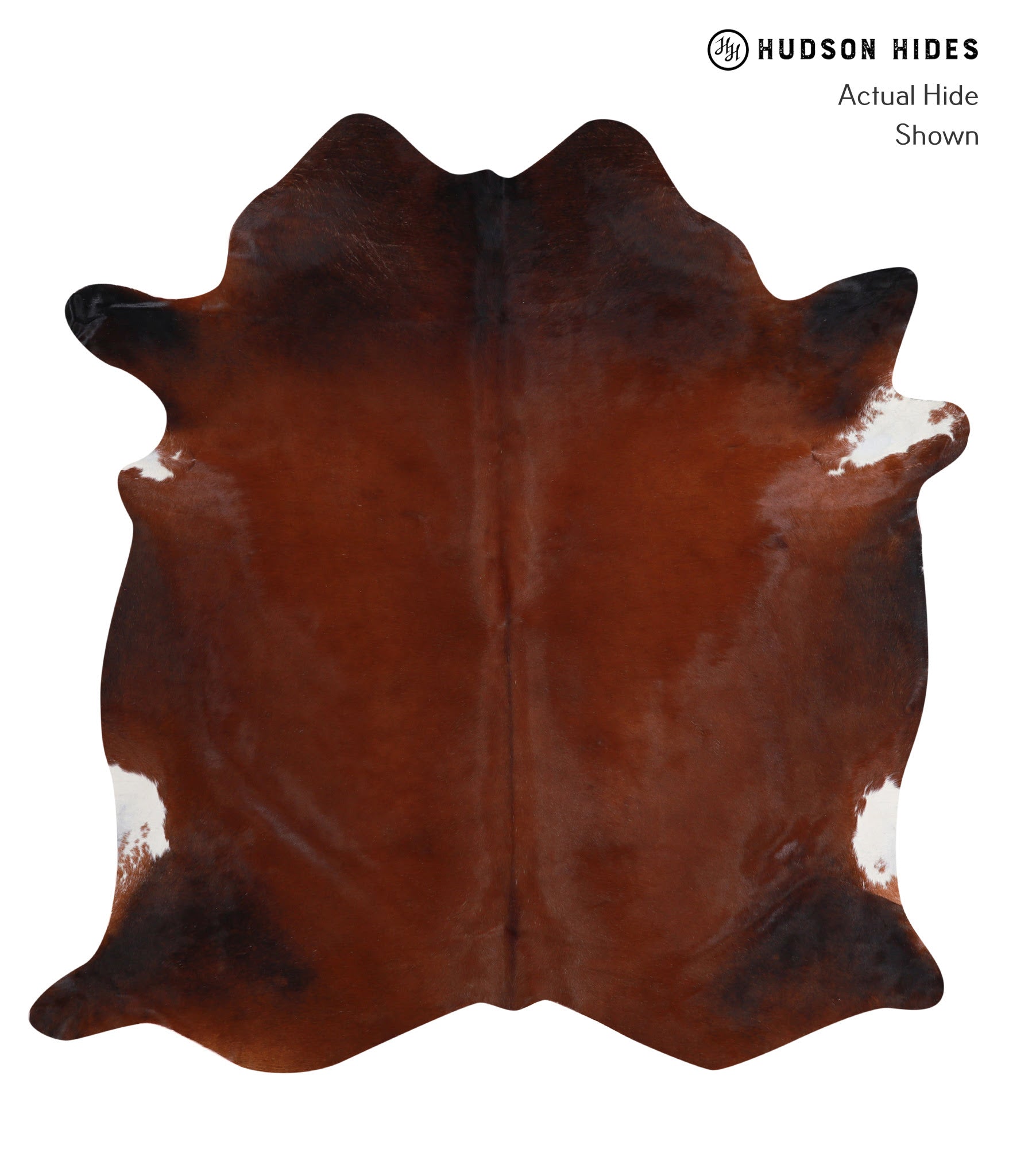 Brown with Red Cowhide Rug #A4030