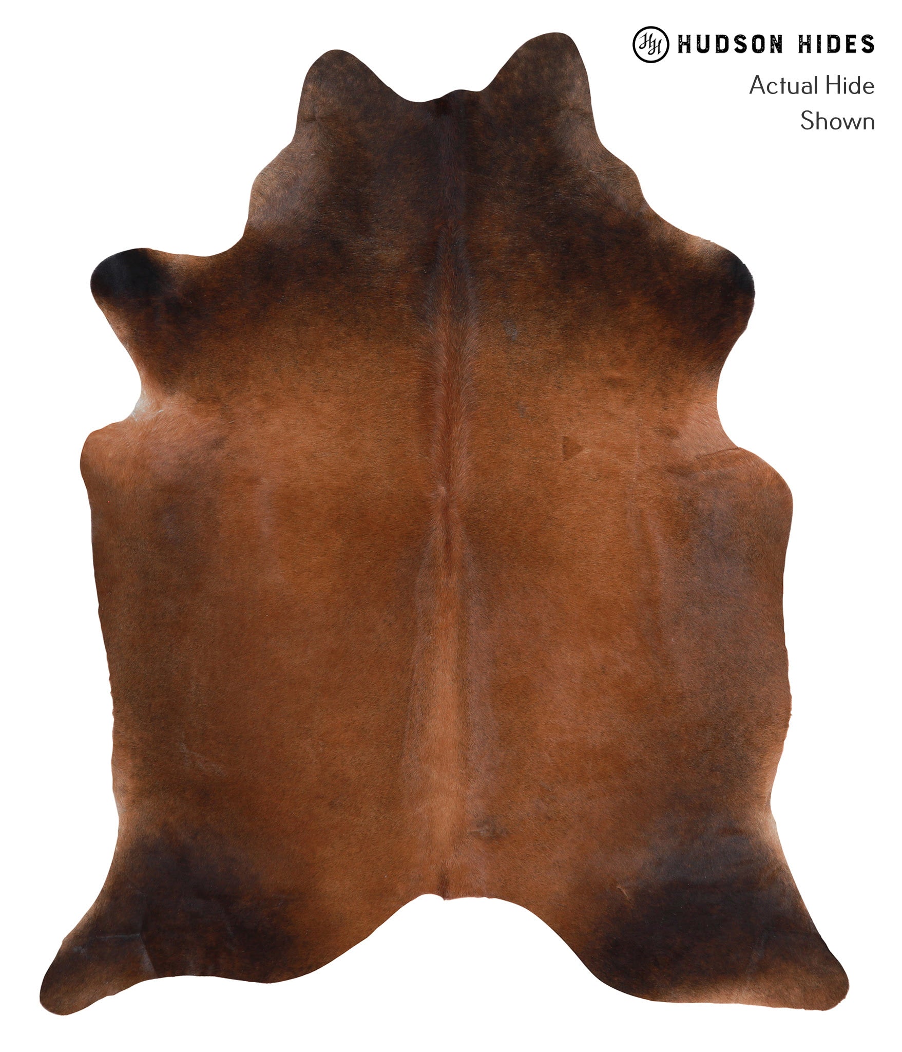 Brown with Red Cowhide Rug #A4095