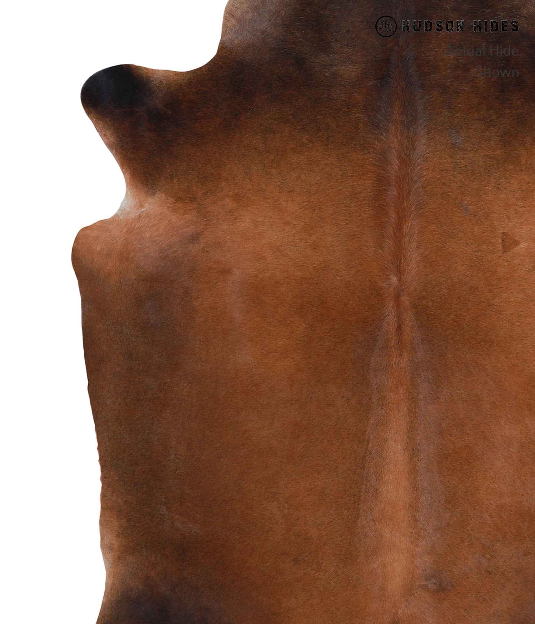 Brown with Red Cowhide Rug #A4095