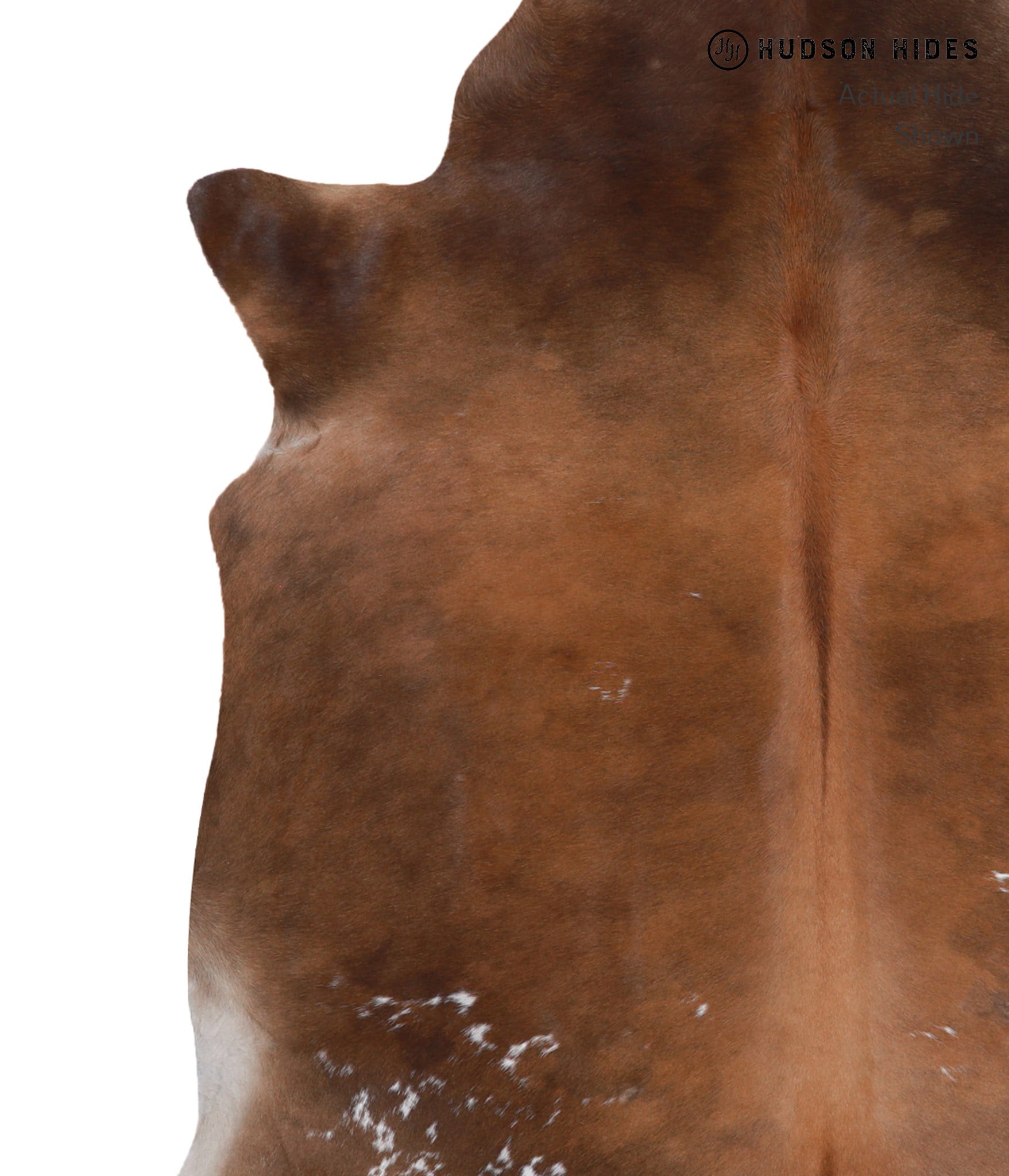 Brown with Red Cowhide Rug #A4096