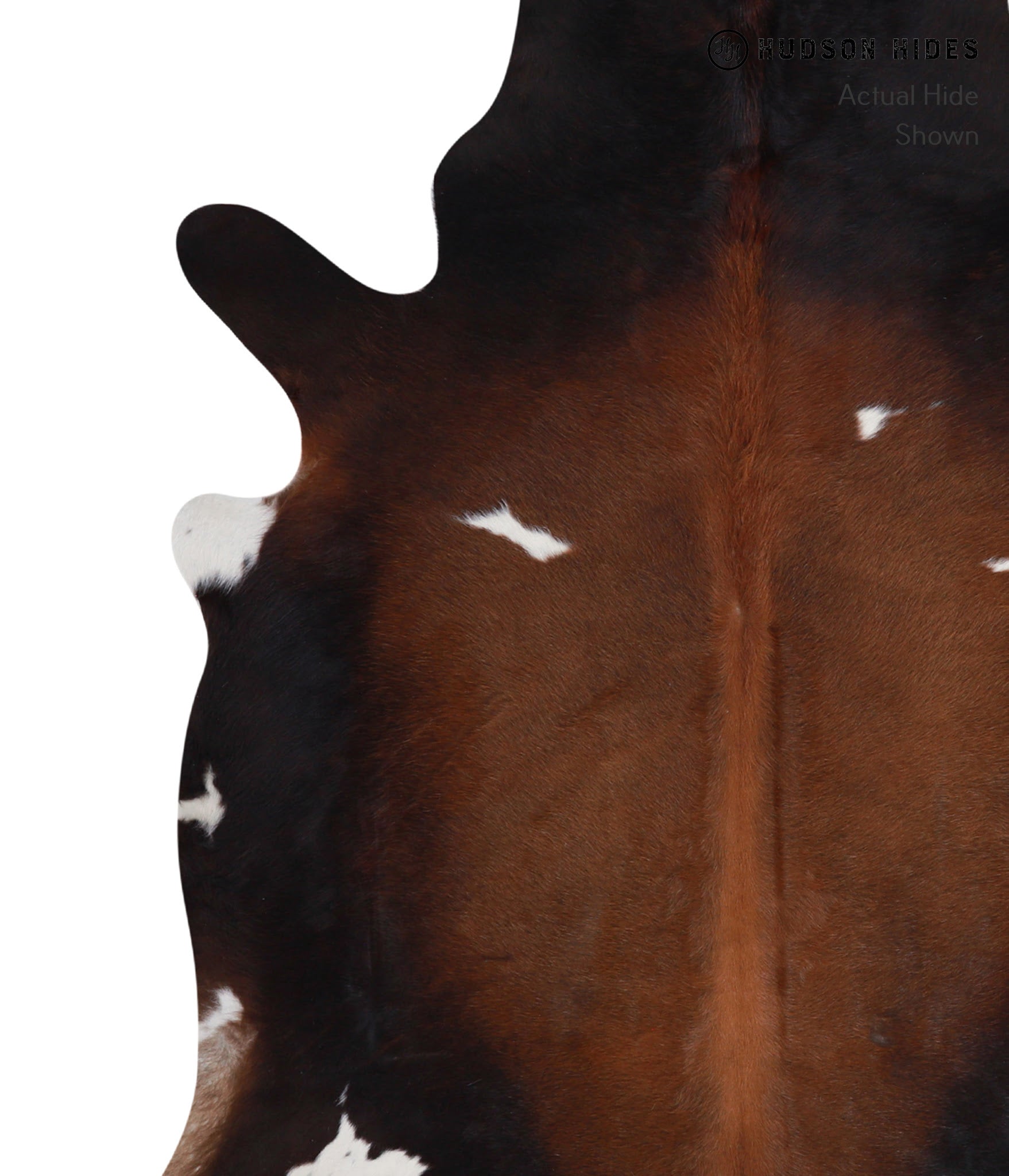Chocolate and White Cowhide Rug #A4110