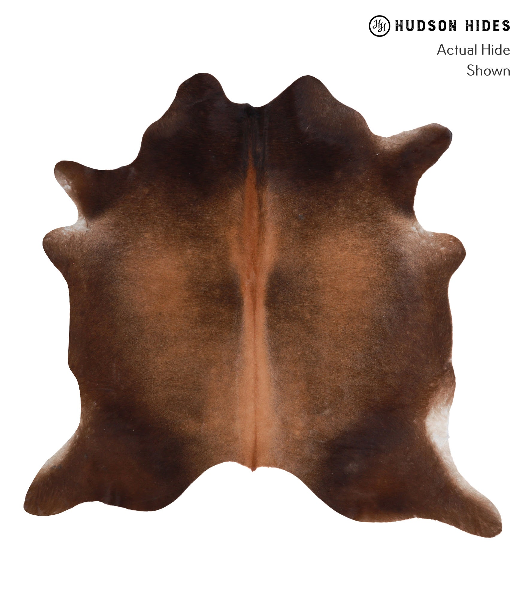 Brown with Red Cowhide Rug #A4123