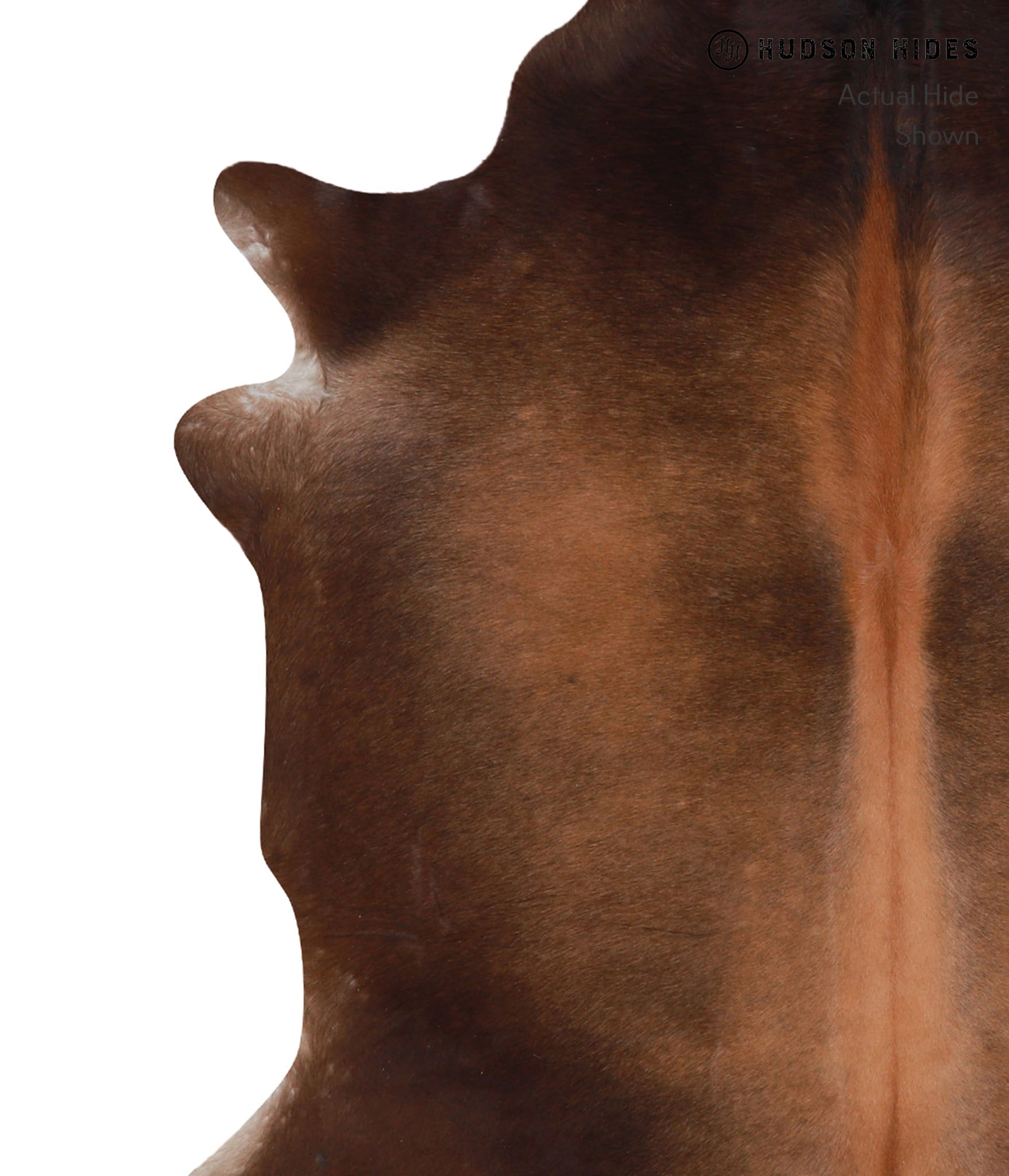 Brown with Red Cowhide Rug #A4123
