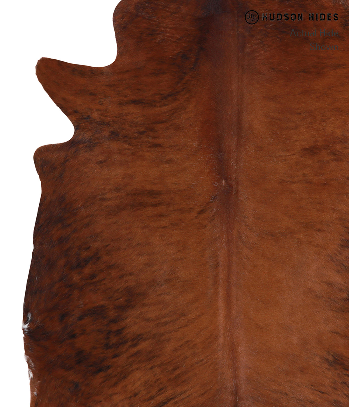 Medium Brindle X-Large Brazilian Cowhide Rug 7'4"H x 6'3"W #A4138 by Hudson Hides