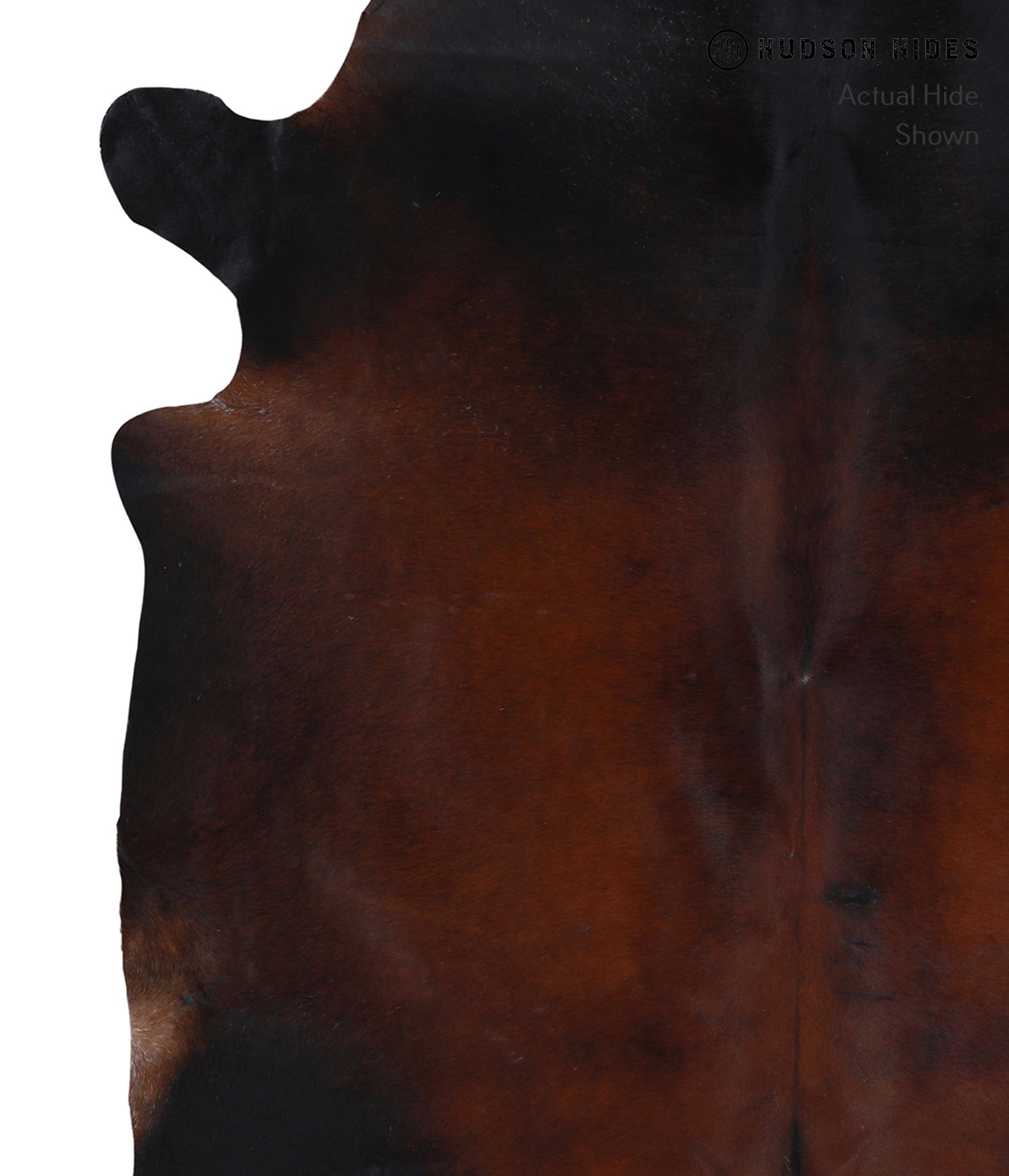 Brown with Red Cowhide Rug #A4167