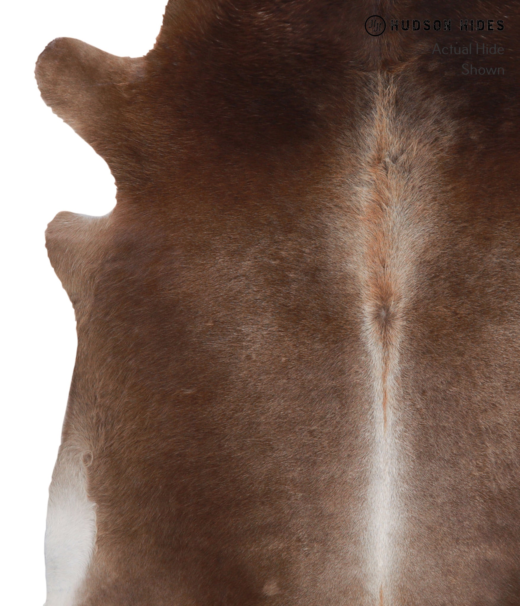 Grey with Beige Cowhide Rug #A4232
