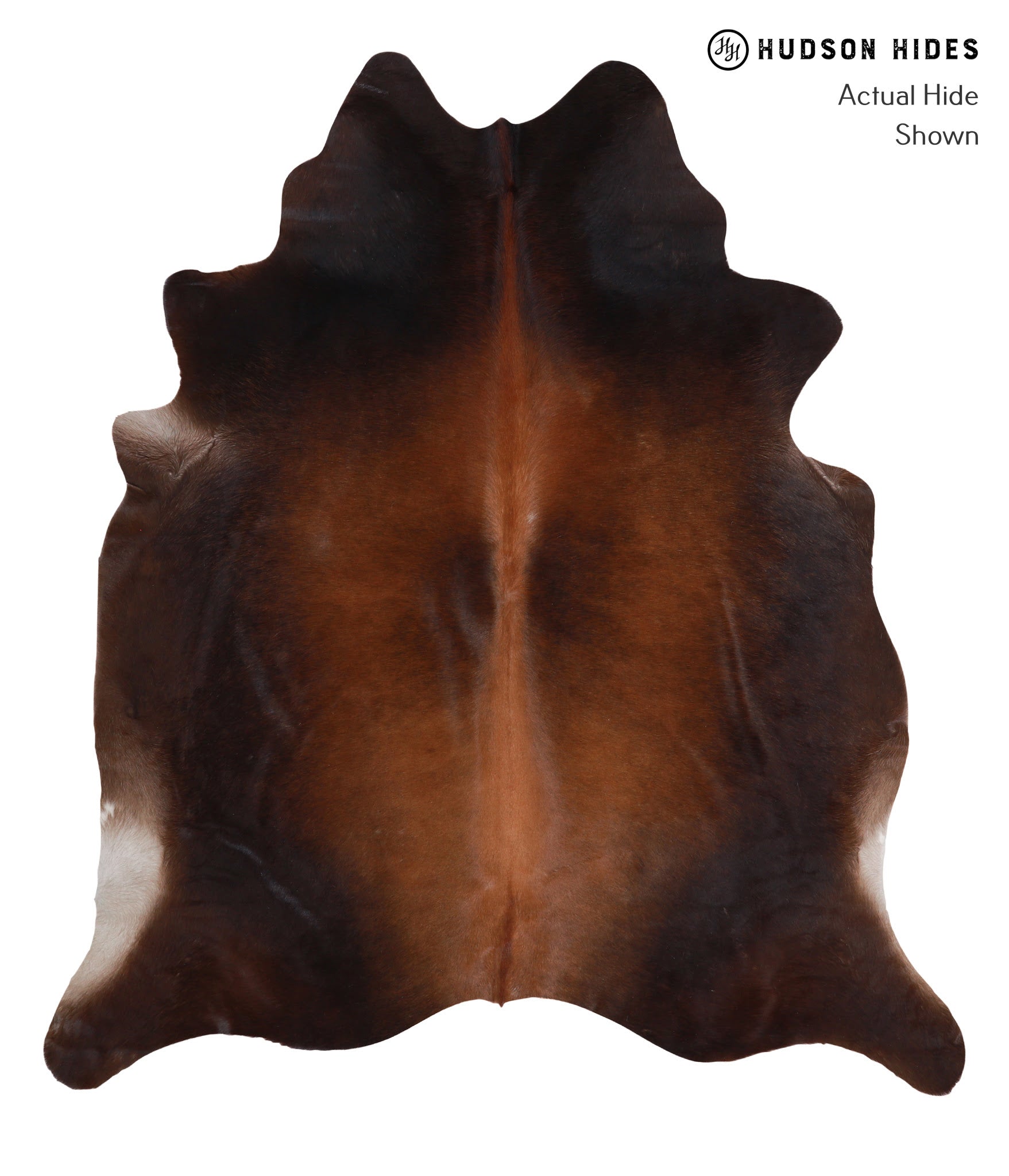Brown with Red Cowhide Rug #A4251