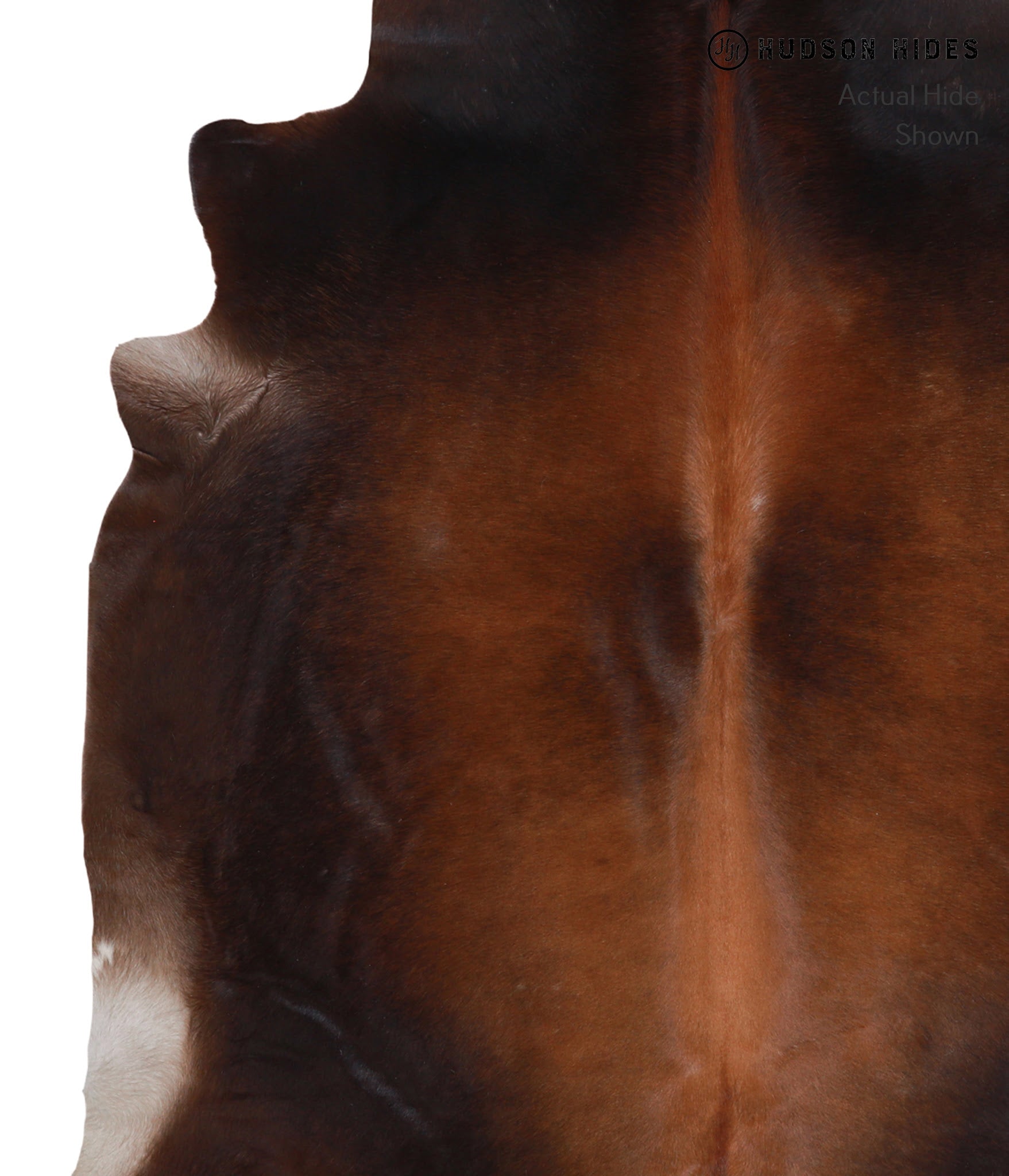 Brown with Red Cowhide Rug #A4251