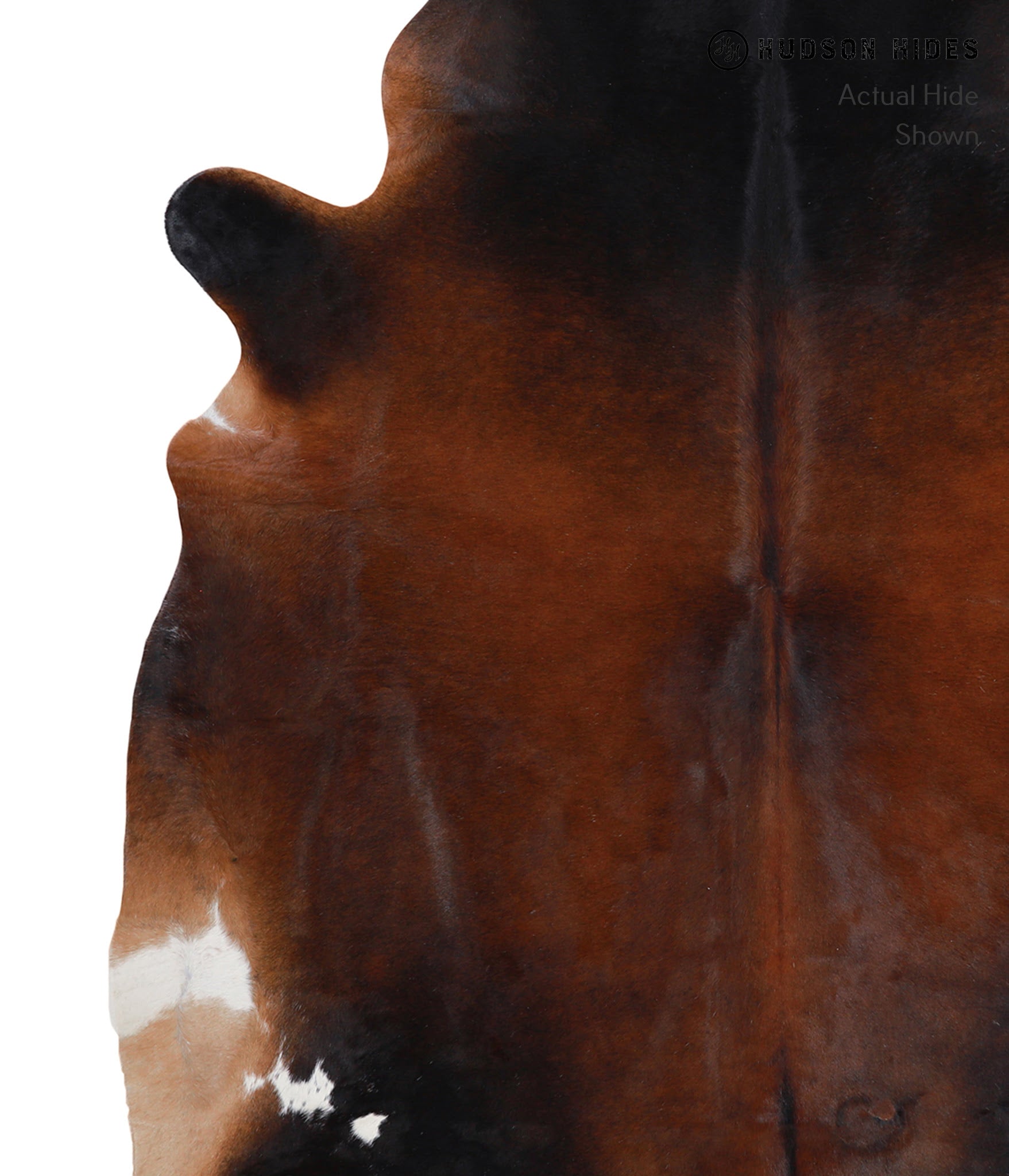 Brown with Red Cowhide Rug #A4276