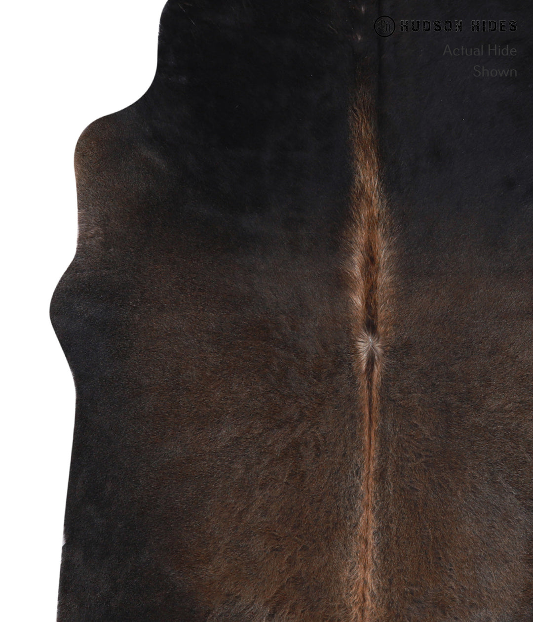 Chocolate Large Brazilian Cowhide Rug 6'4"H x 5'2"W #A4321 by Hudson H
