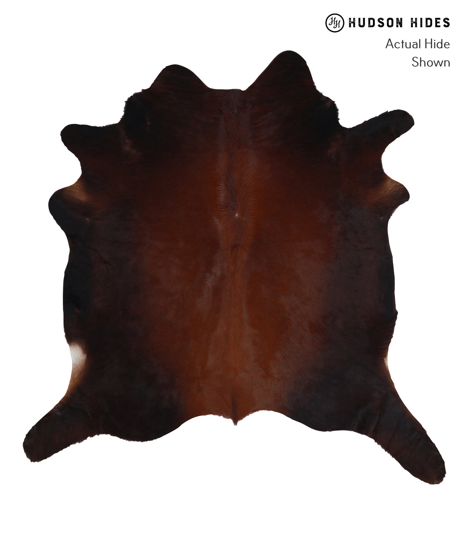 Brown with Red Cowhide Rug #A4335