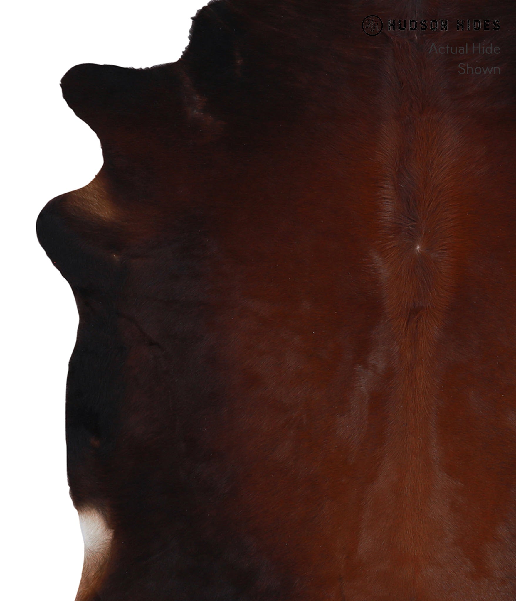 Brown with Red Cowhide Rug #A4335