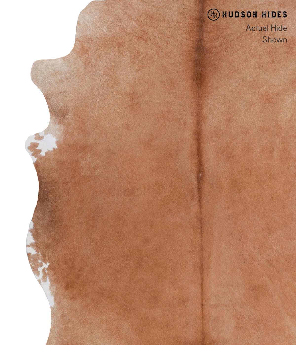 Solid Brown X-Large Brazilian Cowhide Rug 7'8"H x 5'10"W #A4362 by Hudson Hides