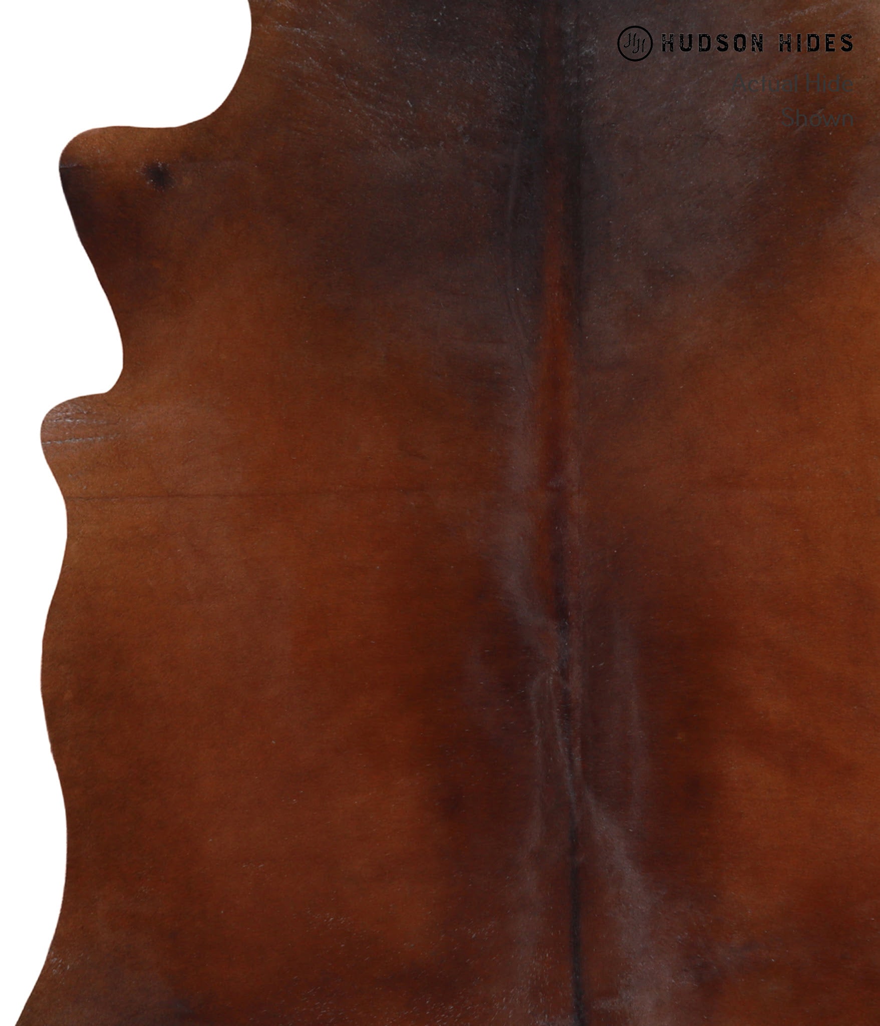 Brown with Red Cowhide Rug #A4371