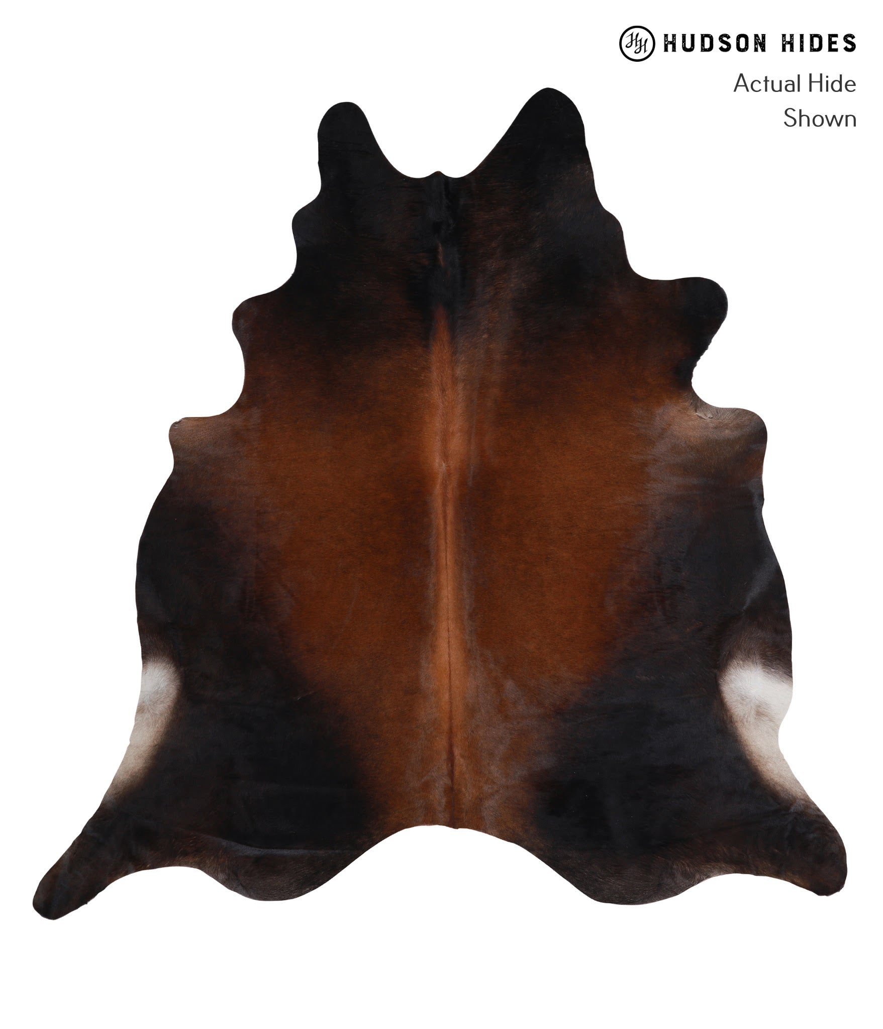 Brown with Red Cowhide Rug #A4375
