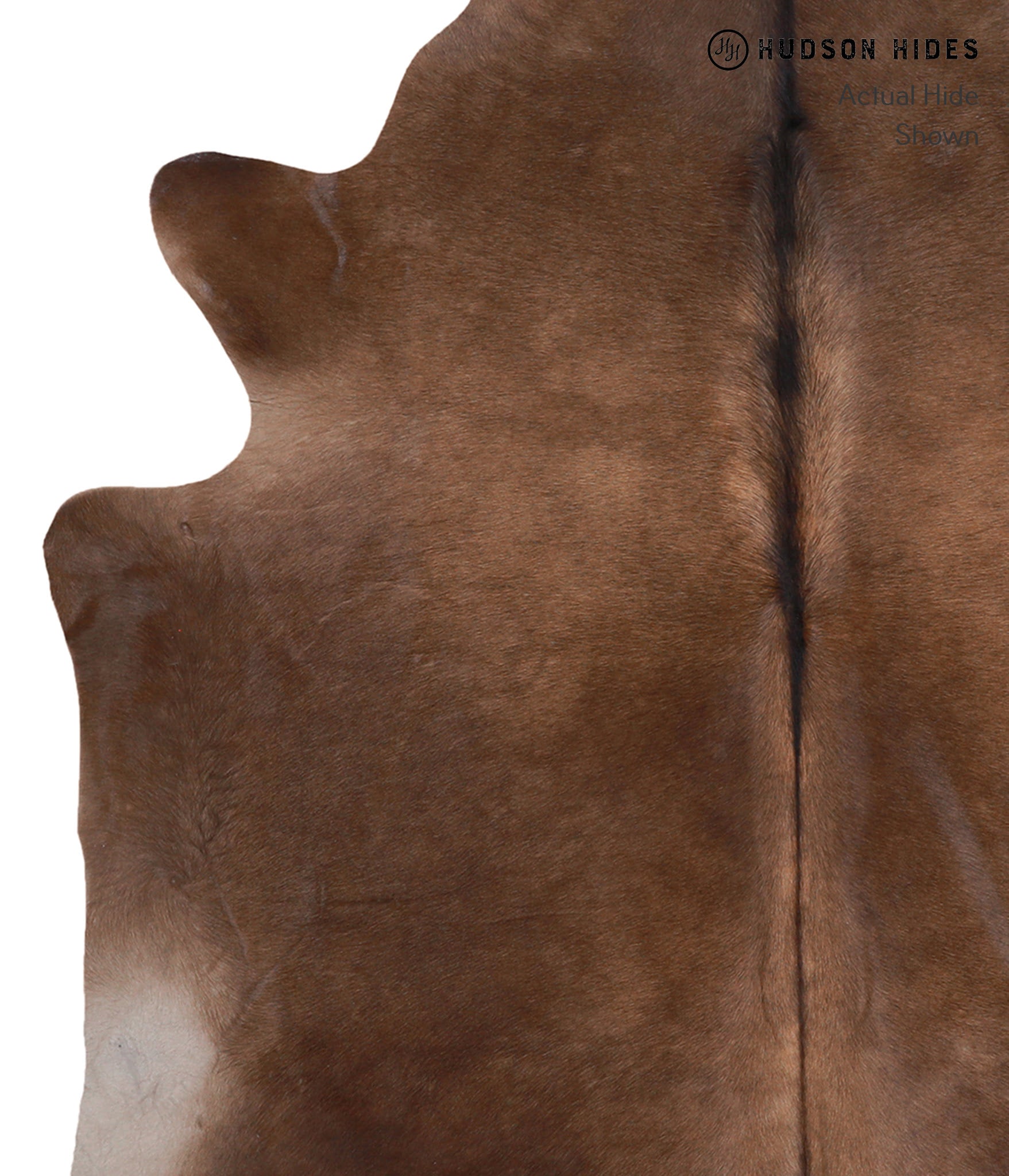 Chocolate Cowhide Rug #A4430