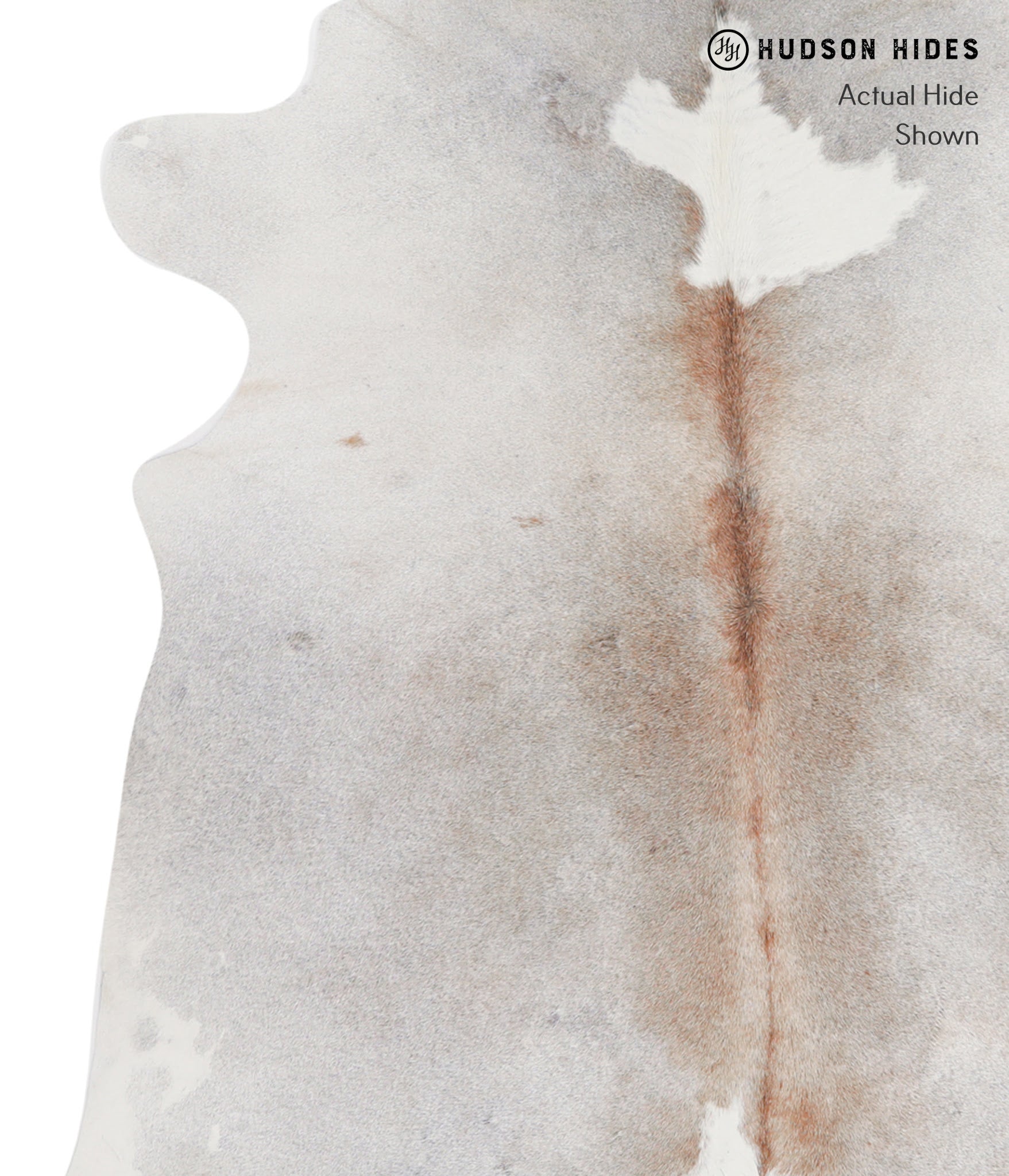 Grey with Beige Cowhide Rug #A4432