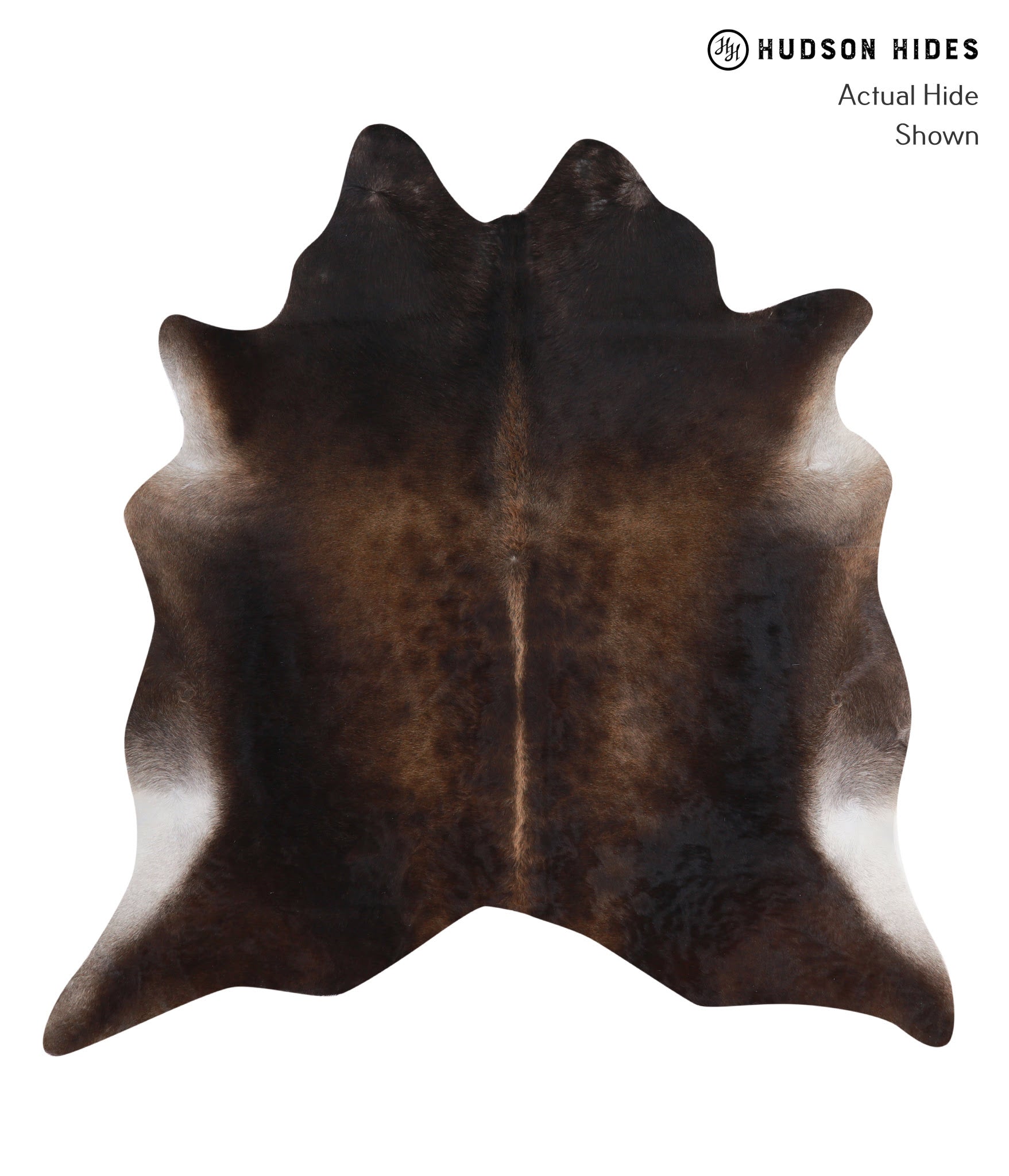 Chocolate Cowhide Rug #A4434