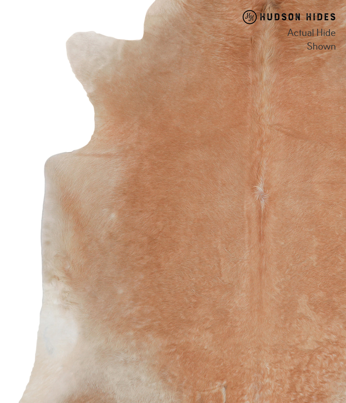Solid Brown XX-Large Brazilian Cowhide Rug 7'5"H x 7'0"W #A4504 by Hudson Hides