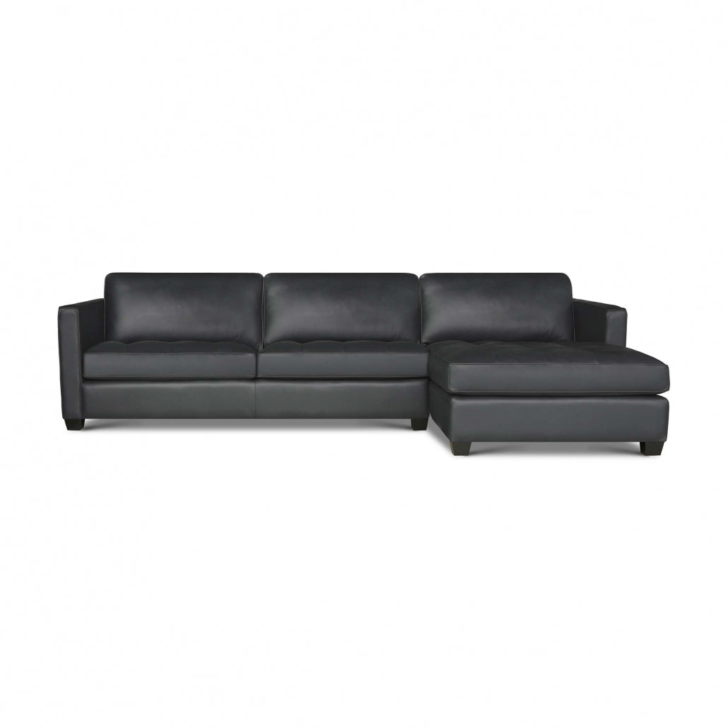 Eleanor Rigby Arizona Sectional (Sofa + Chaise)