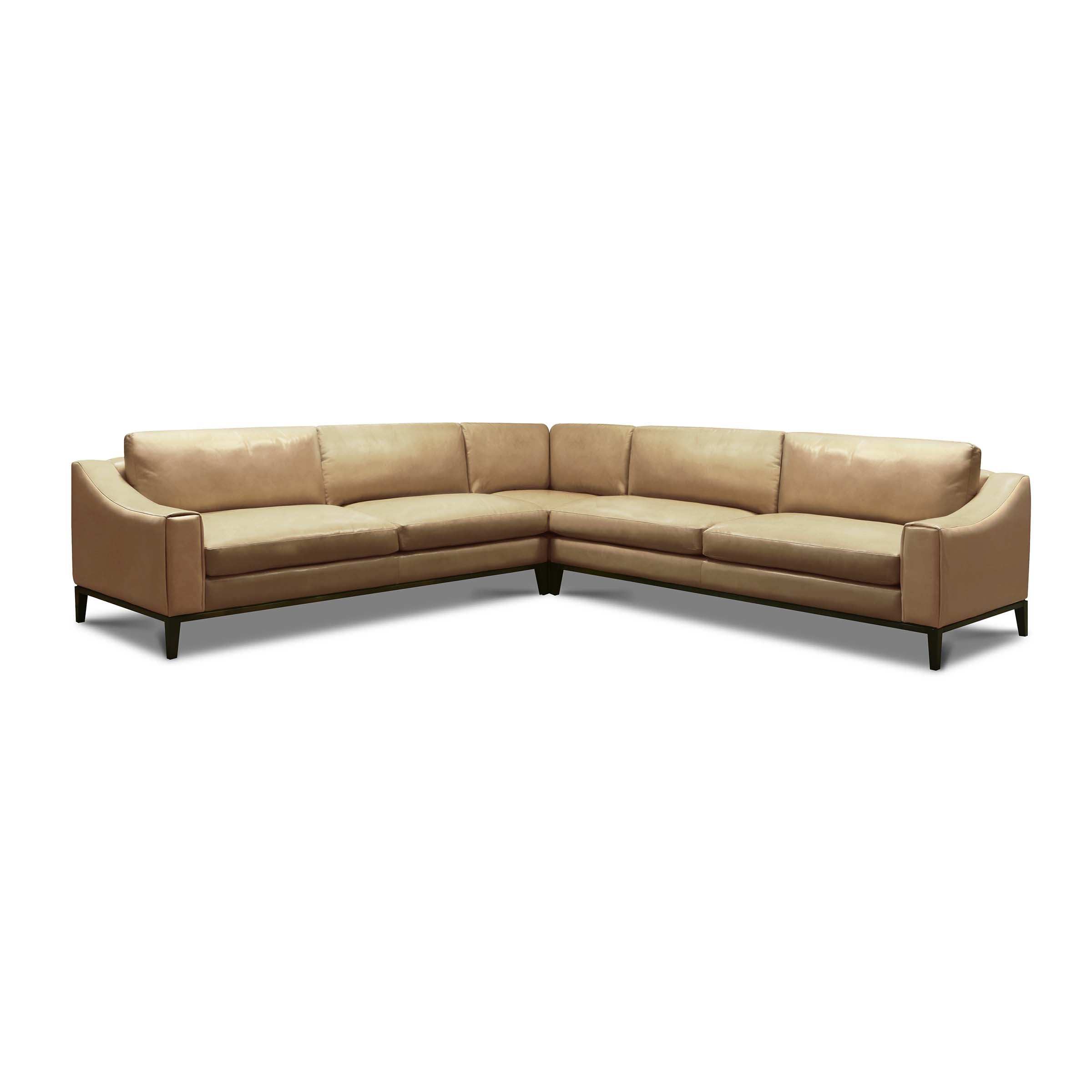 Eleanor Rigby Rodeo Sectional (Sofa + Corner Sofa)