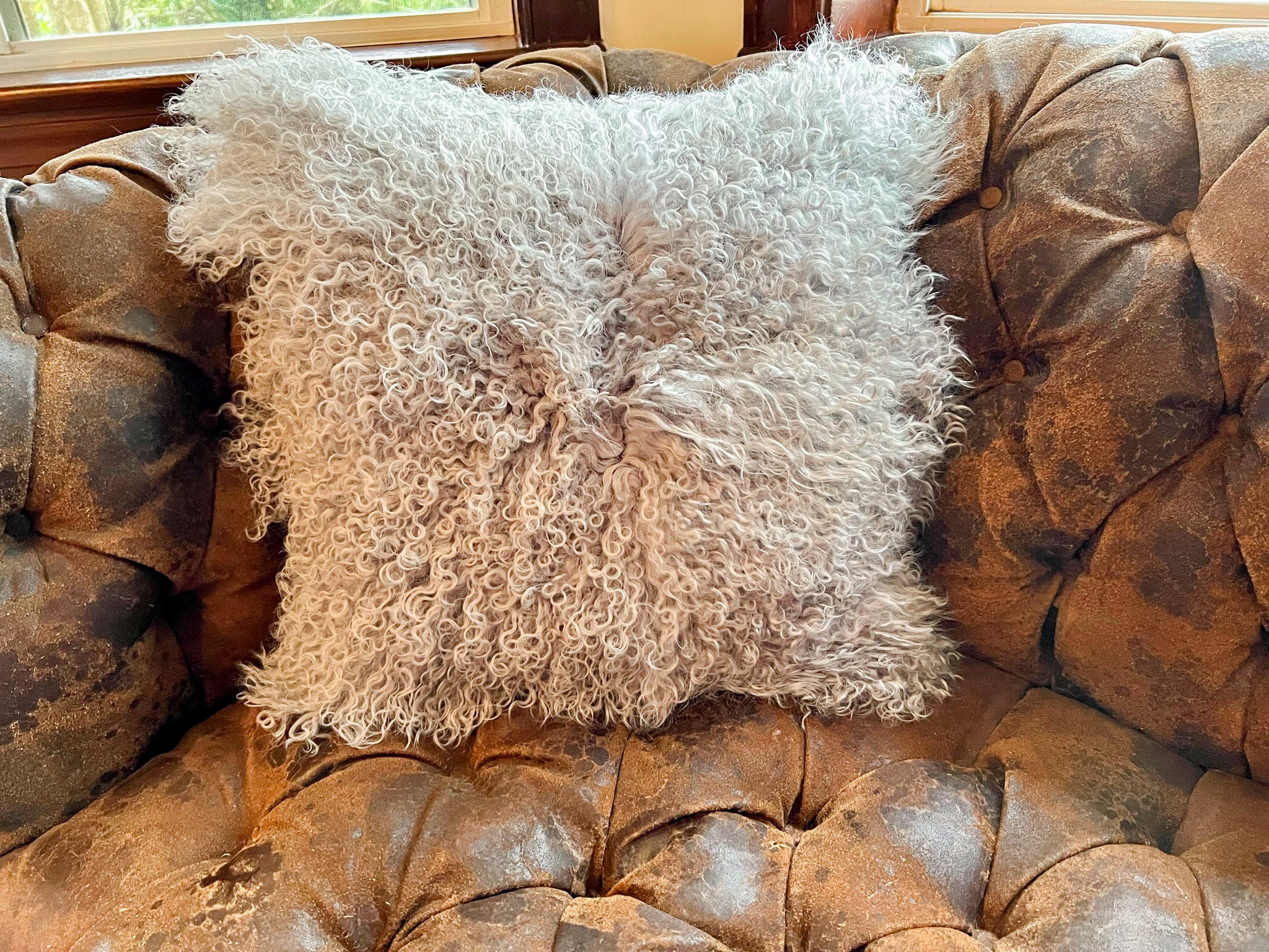 Grey Tibetan Lamb Single Sided Pillow 16" x 16" by Hudson Hides