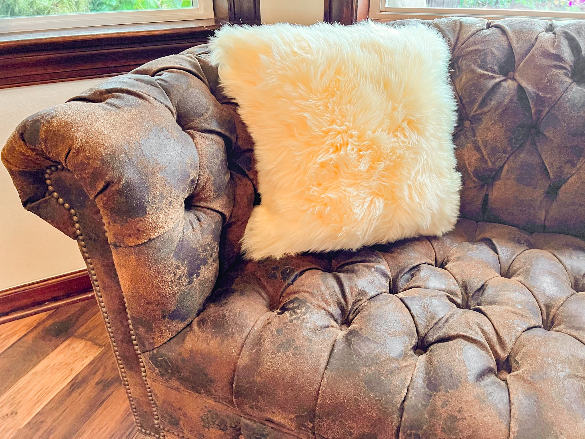 Cream New Zealand Sheepskin Pillow 16"x16" Single Sided by Hudson Hides