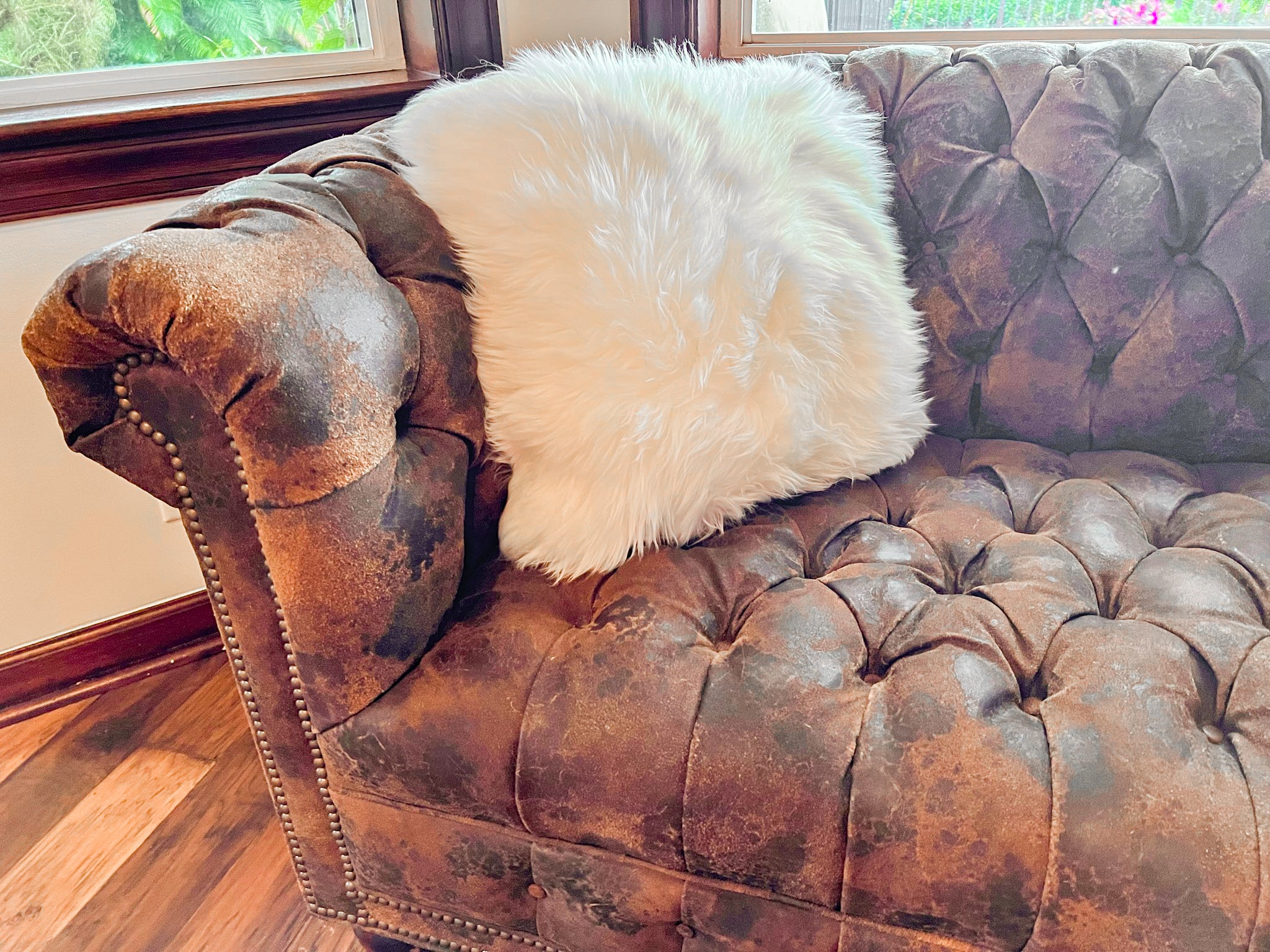 White New Zealand Sheepskin Pillow 16"x16" Single Sided by Hudson Hides