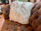 White New Zealand Sheepskin Pillow 16